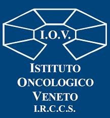 Logo di IOV